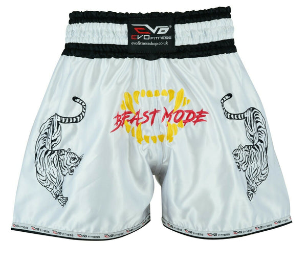 EVO Muay Thai Kick Boxing Cage Fight Shorts MMA Grappling Martial Arts Gear UFC - EVO Fitness