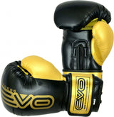 EVO Fitness Boxing Gloves and Focus Pads Deal - EVO Fitness