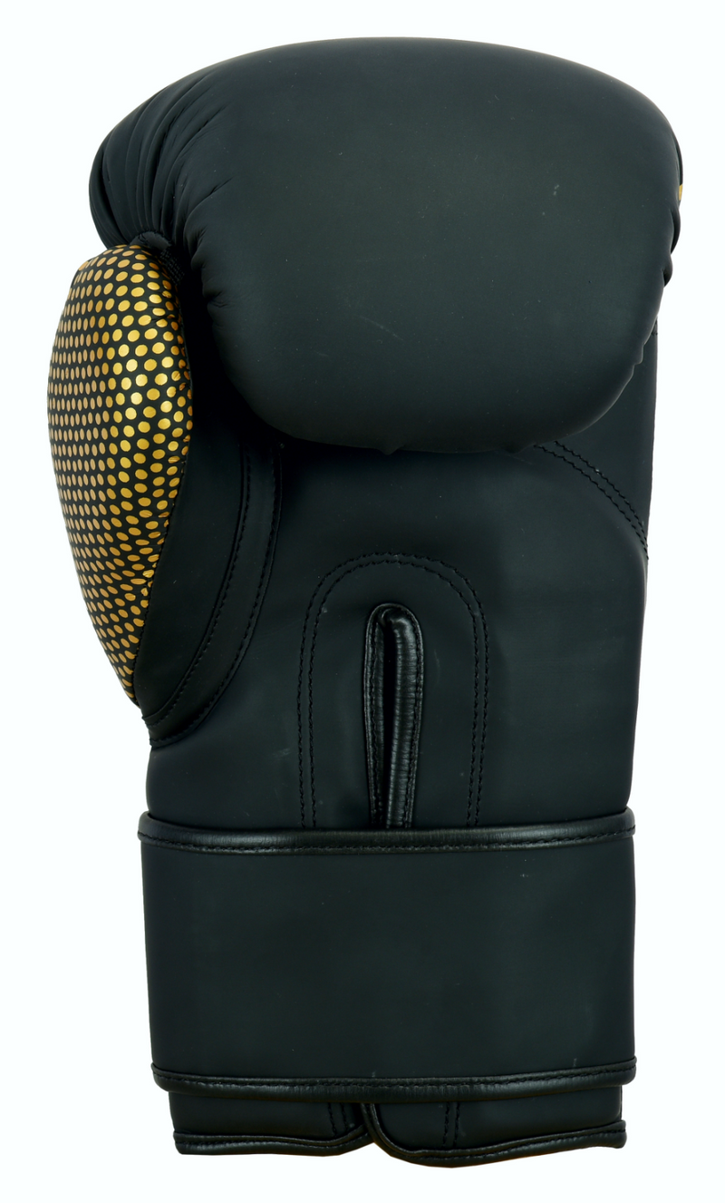 EVO Maya Leather Classic Boxing Gloves - EVO Fitness